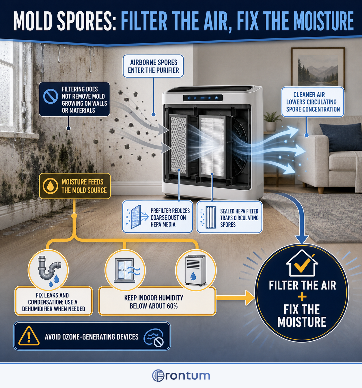 mold-spores-filter-moisture-infographic-en