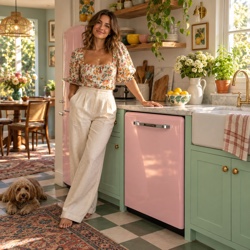 Best Smeg dishwashers