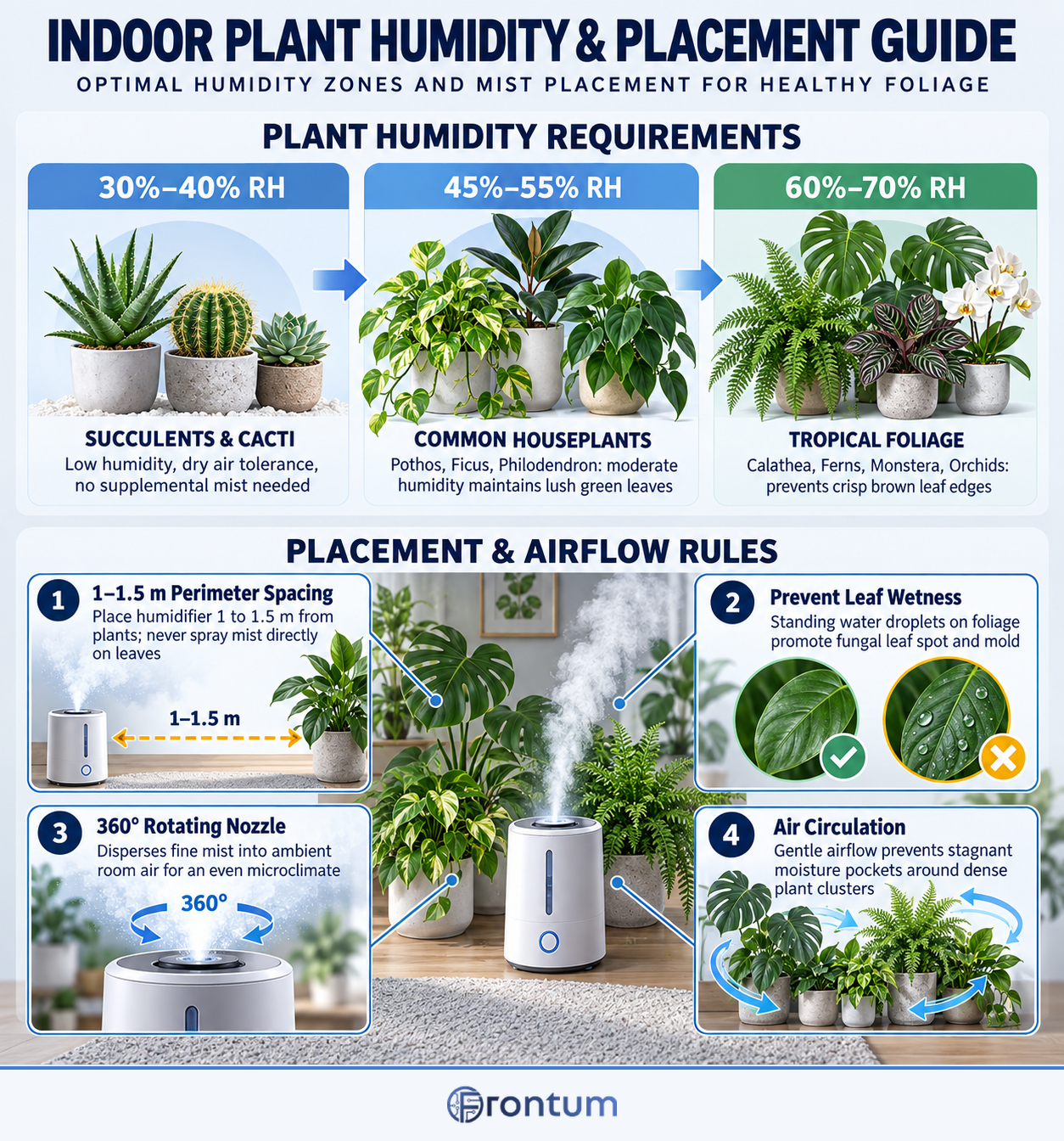 indoor-plant-humidity-and-placement-guide-infographic-en